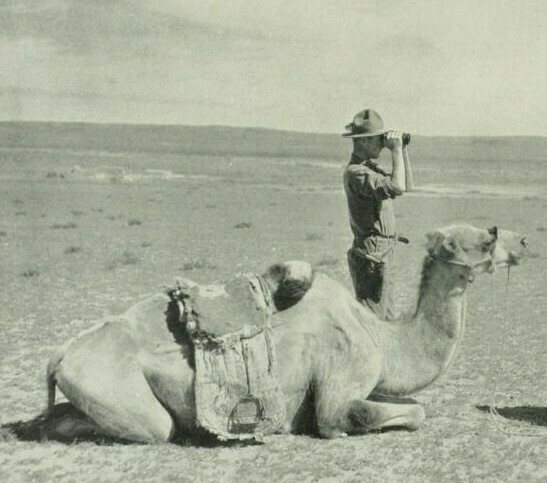 Roy Chapman Andrews and a camel